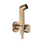 Гигиенический душ со смесителем Hansgrohe Bidette S 29232140 шлифованная бронза - фото 1