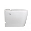 Унитаз приставной ABBER Bequem AC1114P с импульсным смывом, белый - фото 10