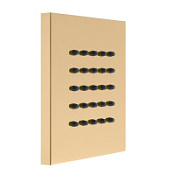Душевая форсунка Webert AC0334010 золото Душевая форсунка Webert AC0334010 золото
