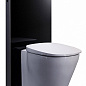 Сантехнический модуль для подвесных и напольных унитазов Geberit Monolith Plus 131.201.SJ.1