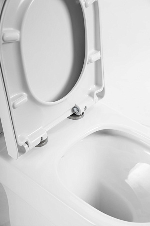 Чаша для унитаза-компакта BelBagno Norma BB339CPR