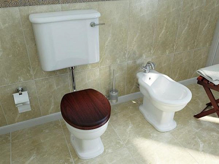 Биде напольное VitrA Efes 6597B003-0068