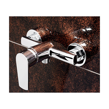 Смеситель WasserKRAFT Dill 6102 для душа