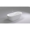Акриловая ванна Black & White Swan SB105 170х80 белая - фото 2