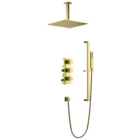 Душевой комплект Timo Selene SX-2229/17SM золото матовое