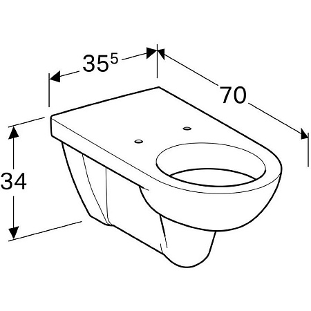 Унитаз подвесной Geberit Selnova 500.262.01.1