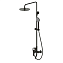 Душевая стойка Bravat Rhein F6429564BW-A-ENG черный матовый - фото 1