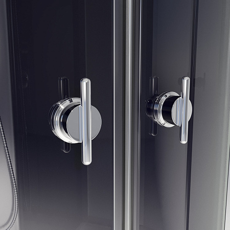 Душевая кабина Niagara Eco E100/80/40L/TN/BK 100x80x195 L стекло тонированное/профиль серебро