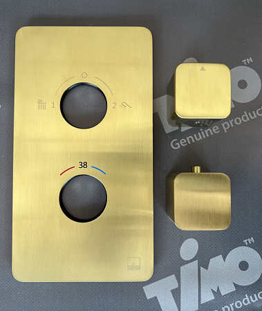 Душевой комплект Timo Petruma SX-5049/17SM золото