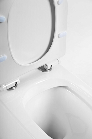 Чаша для унитаза-компакта BelBagno Flay-R BB2149CPR
