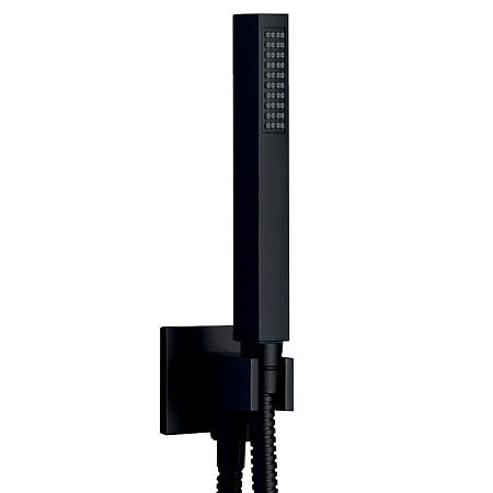 Душевая лейка Palazzani Young 9910R838 черный матовый