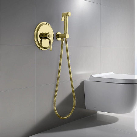 Гигиенический душ со смесителем Aquatek Классик AQ1519PG полированное золото