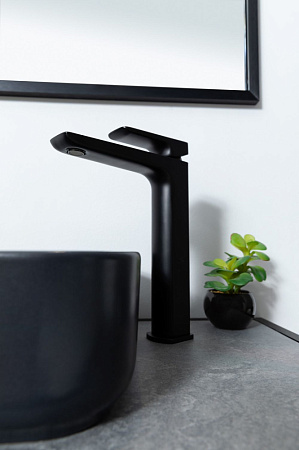 Смеситель Allen Brau Infinity 5.21002-31 для раковины, черный